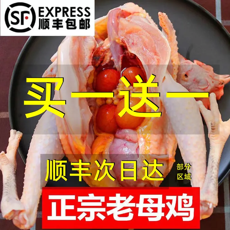 2只3年正宗老母鸡现杀新鲜土鸡农家散养柴鸡走地鸡农家散养土鸡