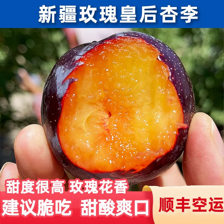 鑫选 新疆戈壁新品杏李玫瑰皇后3斤 新鲜水果应季李子 顺丰空运