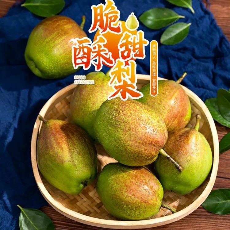 【媚梨7号】山东正宗媚梨7号香甜可口汁水饱满鸭梨酥梨