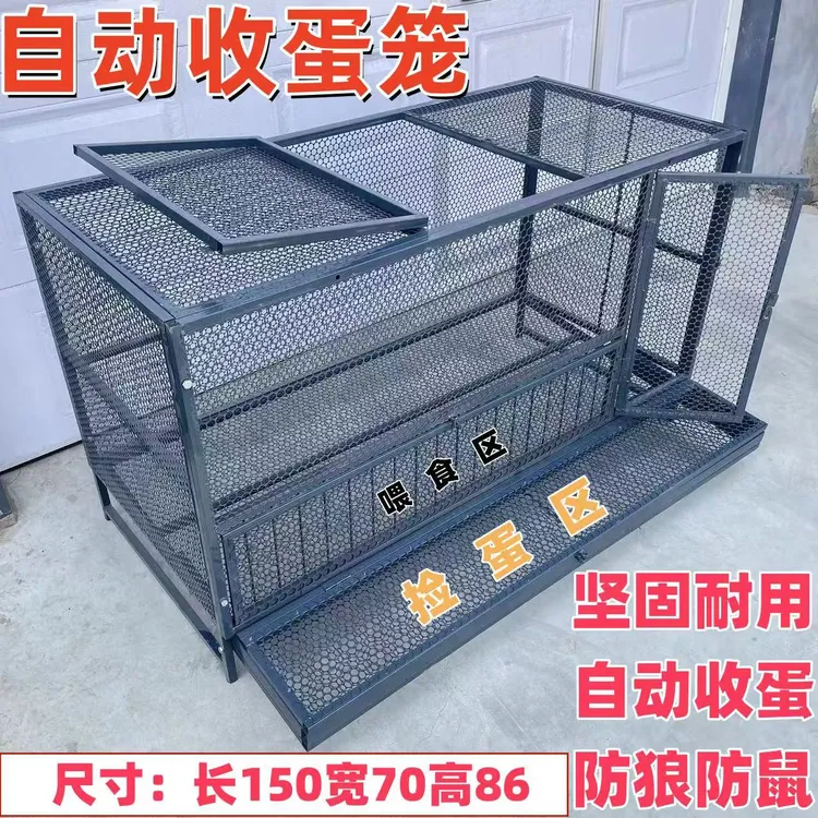 户外下蛋母鸡笼自动收蛋防啄防黄鼠狼老鼠结实耐用鸡笼