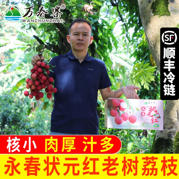 万春寨永春状元红荔枝 百年老树正宗岵山荔枝 5斤礼盒装 顺丰新鲜