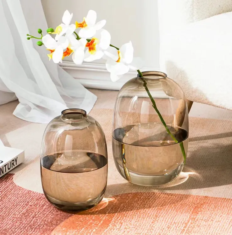 喜悦  大肚玻璃花瓶简约椭圆真色玻璃小口花瓶马醉木插花花器