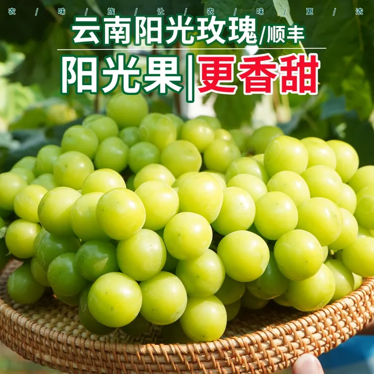农味族云南阳光玫瑰葡萄顺丰水果礼盒装精选新鲜纯甜2斤礼盒