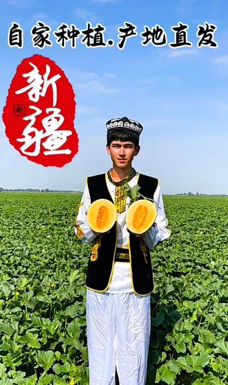 【顺丰包邮】新疆正宗哈密瓜.产地直供.香甜多汁.脆爽口感.坏果包赔