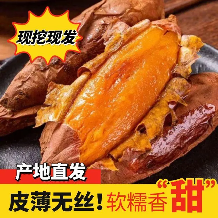 沙地西瓜红现挖现发沙地西瓜红蜜薯地瓜香甜软糯红薯地瓜五斤九斤