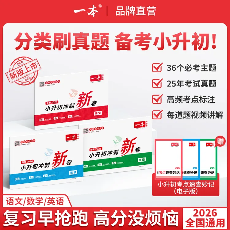 一本【冲刺小升初】真题分类小学总复习考前提分冲名校视频讲解通用