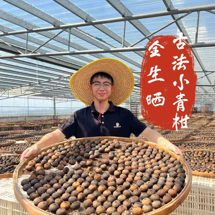 【全生晒.古法小青柑】天马十年老树柑+布朗山古树大金芽（回甘迅猛）