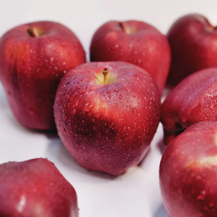 【顺丰包邮】天水花牛苹果当季新鲜水果粉面香甜宝宝辅食产地直发