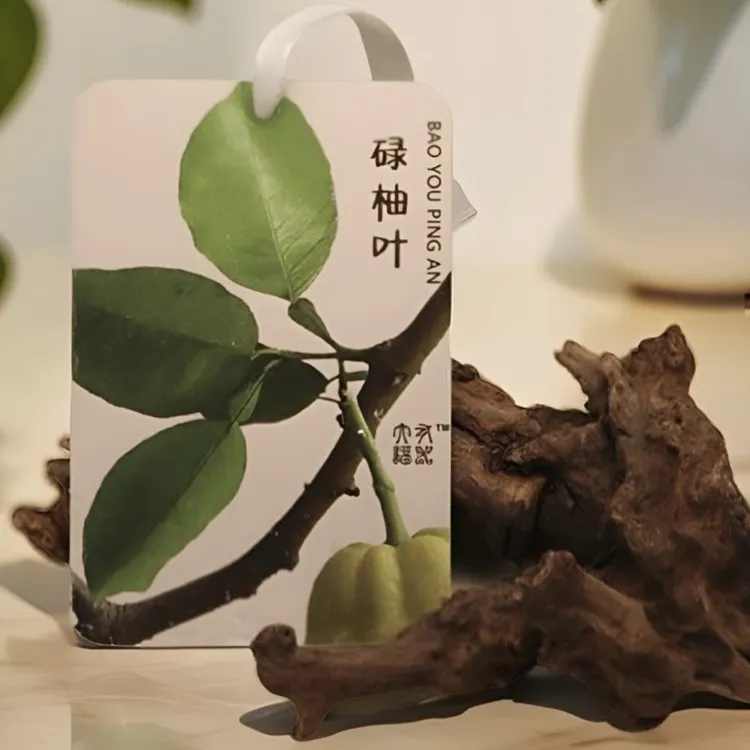 新款碌柚叶家用车载衣柜通用扩香卡片香薰清新空气