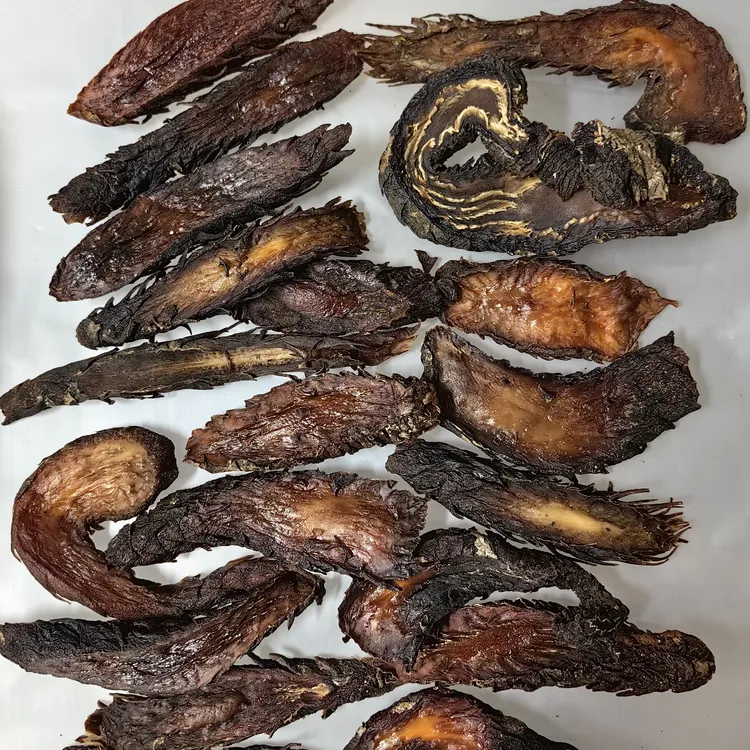 内蒙古乌拉特后旗秋季肉苁蓉片