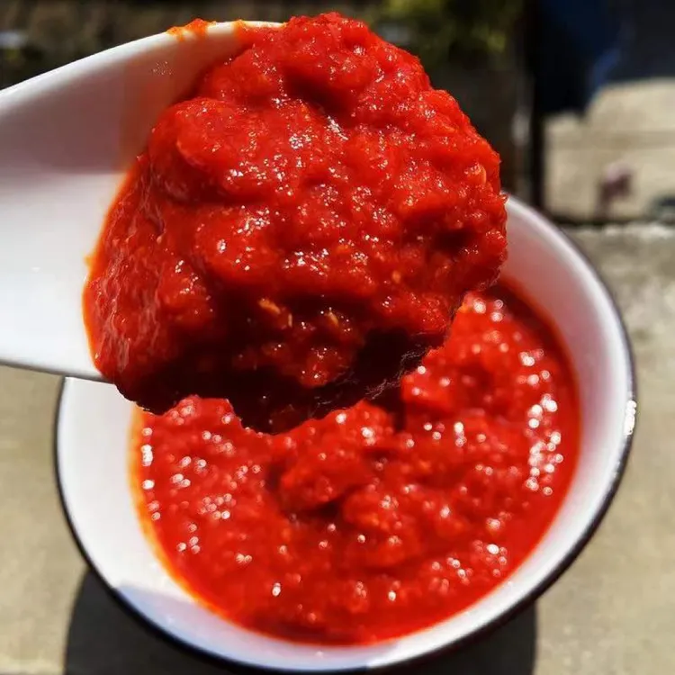 贵州糟辣椒辣椒酱传统风味土特产老坛剁椒酱姜蒜糟辣椒开胃下饭