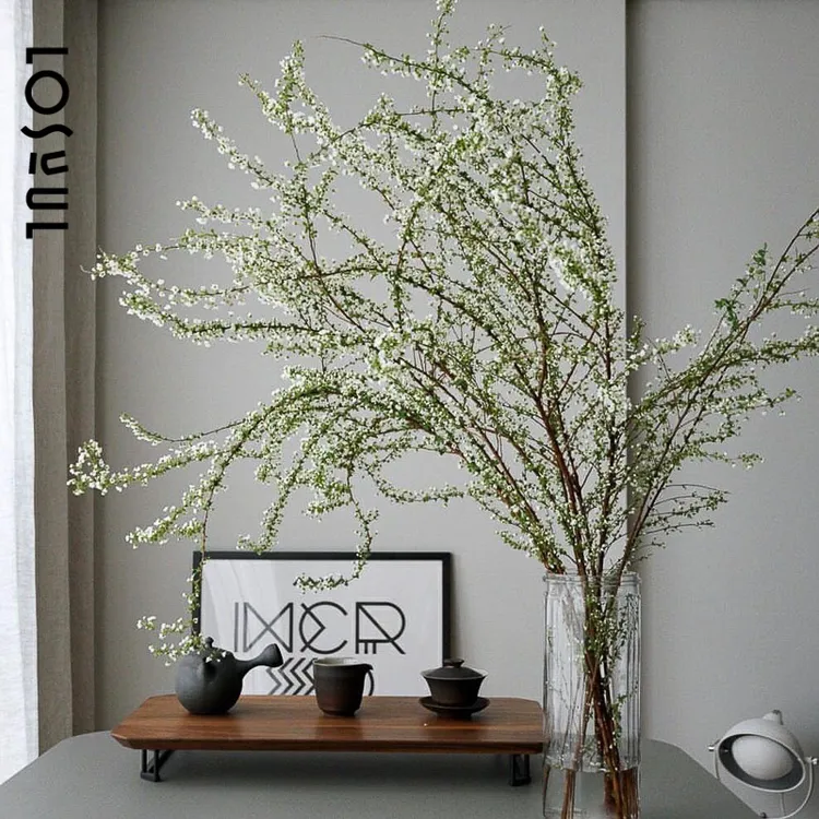 雪柳鲜枝带花苞室内小手球叶水培鲜切水养植物鲜花枝条室内绿植