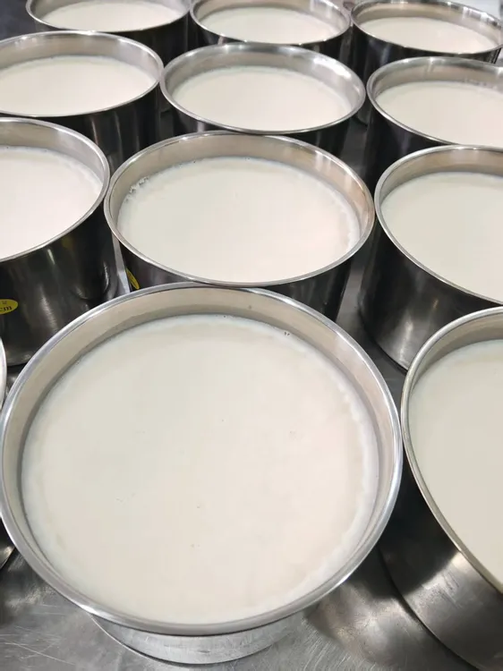 炒焖罐肉猪油净重5斤，带桶发货京东包邮！