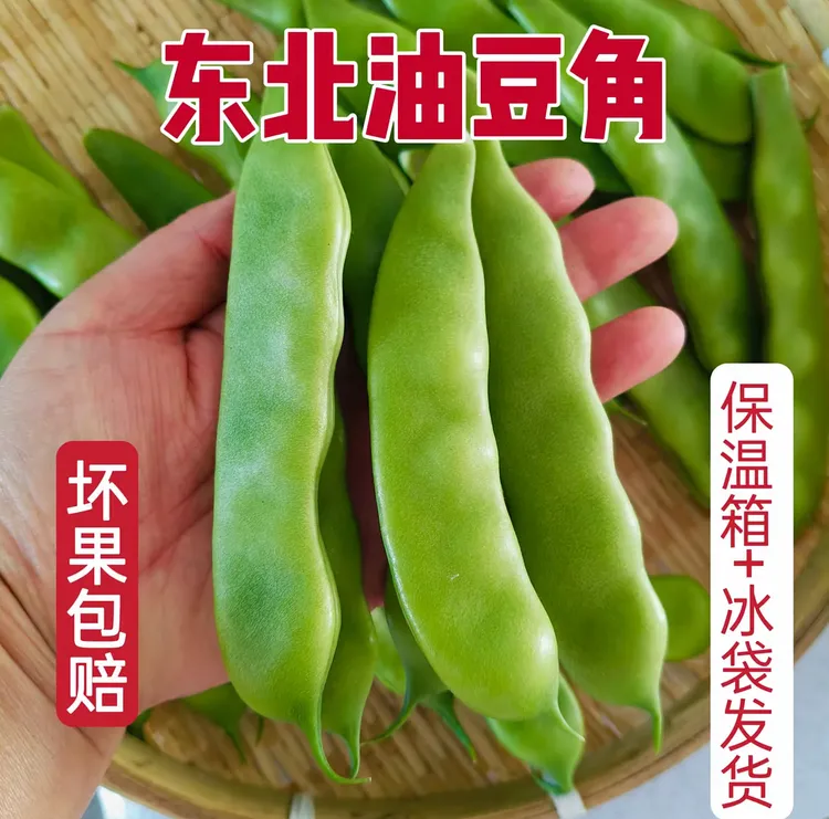正宗东北油豆角新鲜现摘开锅烂面蔬菜原味新鲜油豆角无筋无柴
