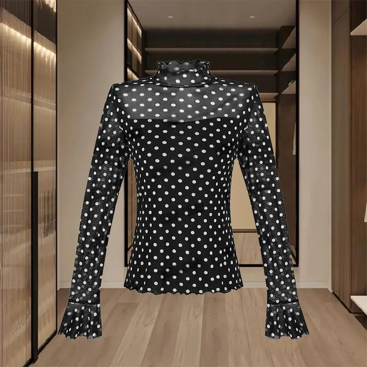 2025春夏韩式新款高领波点透感网纱叠穿打底衫女小众个性时尚上衣