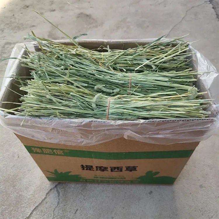 26年提摩西草段精筛牧草兔子荷兰猪龙猫主粮磨牙晒干提摩西草幼兔
