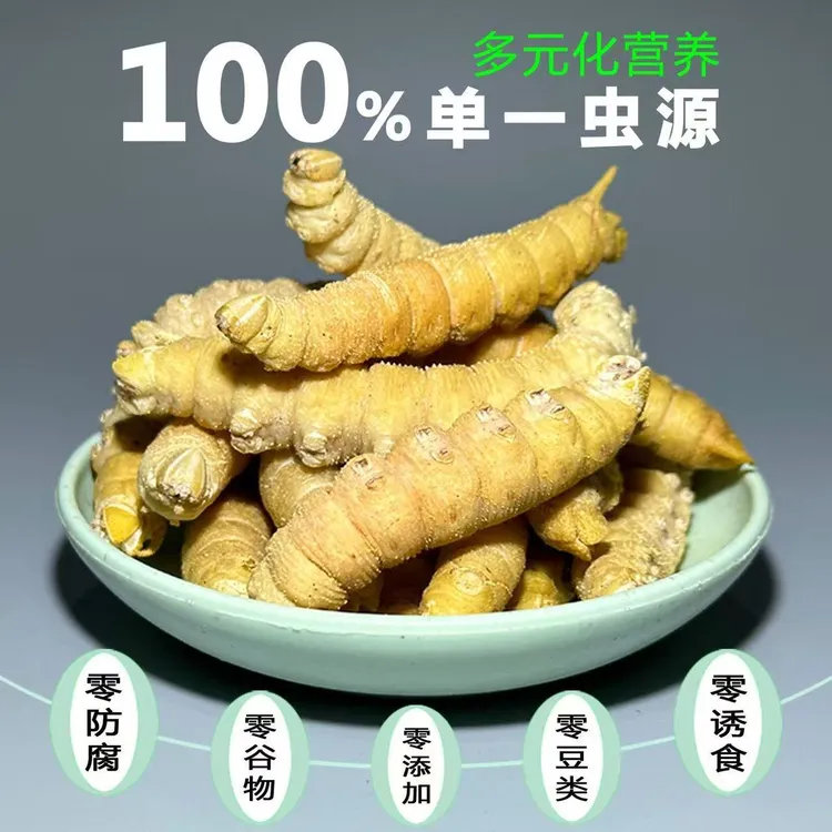 蜜袋鼯零食冻干豆青虫大青虫仓鼠金丝熊花枝鼠粮食食物增肥营养