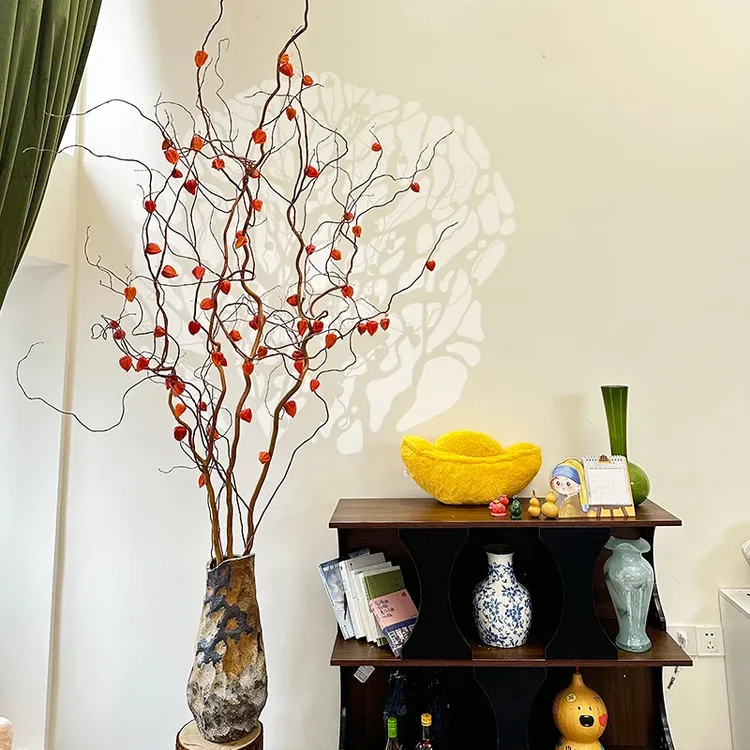 【金灯树】金龙柳酸浆果老桩鲜枝水培植物室内客厅大型好养绿植花卉