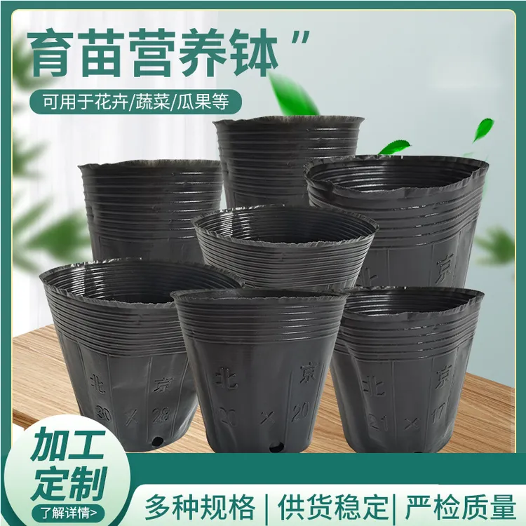 营养杯批发 厂家直供育苗杯 塑料黑色营养钵育苗钵 育苗杯批发