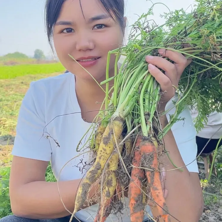 湖北老品种胡萝卜3斤 现挖现发包邮