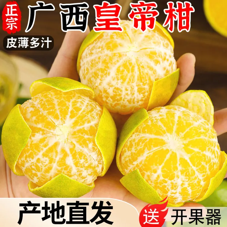 【亏本冲量】正宗广西皇帝柑新鲜橘子水果当季现摘蜜桔子贡柑甜大果