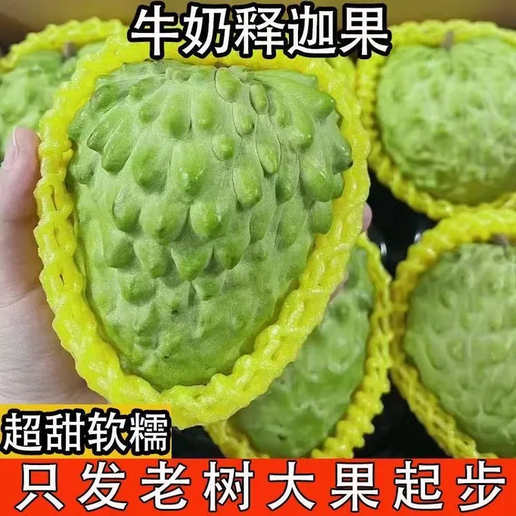 牛奶凤梨释迦果林檎释迦果现摘水果牛奶番荔枝凤梨农家释迦佛头果