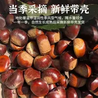 【2025新板栗】丽水高山野生板栗