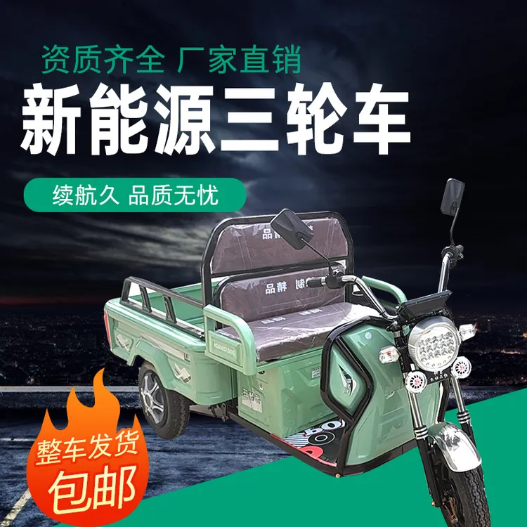 电动三轮车成人小型老人迷你接送孩子货车拉货老年步车三轮新款