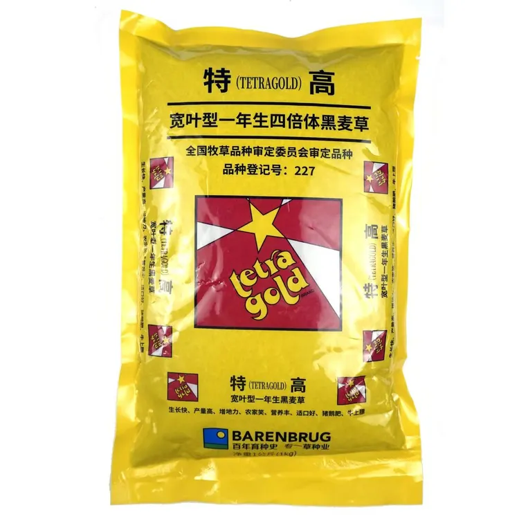 特高宽叶四倍体黑麦草种子 美国百绿进口 南方牛羊鹅兔鼠鱼牧草籽