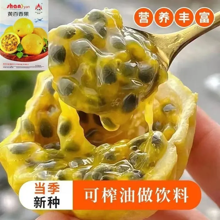 钦蜜九号百香果新鲜当季水果酸甜多汁产地直发