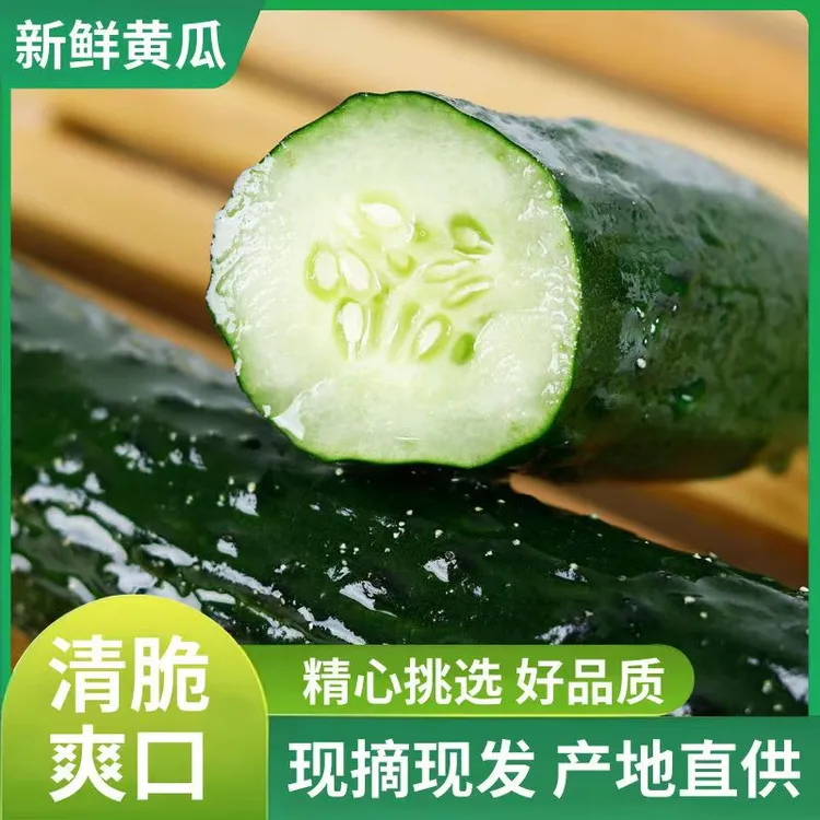 现摘密刺绿心黄瓜脆嫩多汁农家自种长青瓜5斤包邮新鲜应季蔬菜
