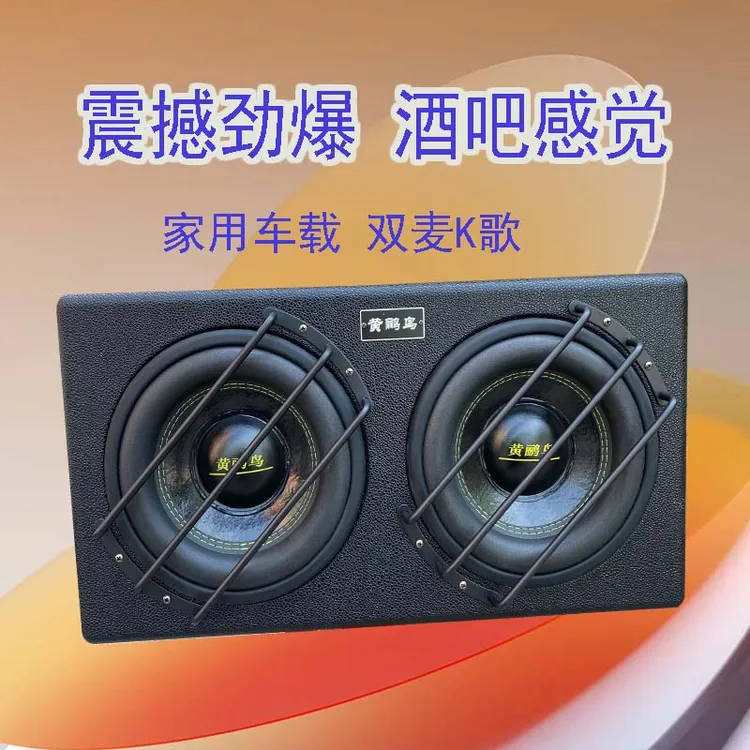 黄鹂鸟双10寸大功率车载家用低音炮大音量音响K歌支持蓝牙音响U盘
