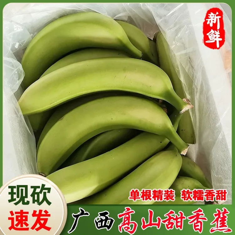 【精选单根】广西农家高山绿皮大香蕉产地直发独立包装时令新鲜水果