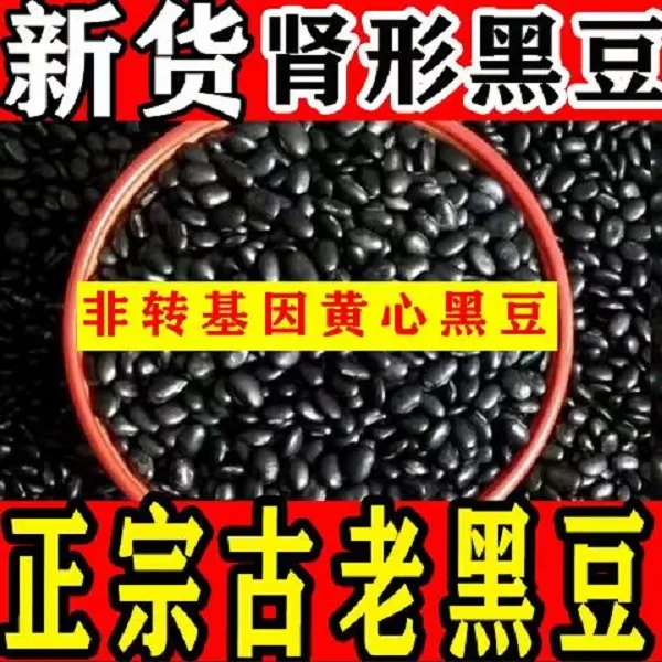 传统老品种黄芯肾形黑豆番茄蔬菜营养丰富黑豆黄豆打豆浆专用