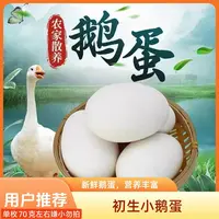 农户自养新鲜土鹅蛋正宗农家现捡生鹅蛋