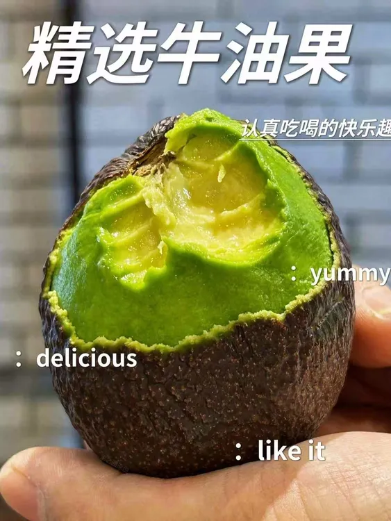 【新疆直发】哈斯牛油果新鲜当季水果宝宝孕妇辅食健身低脂轻食