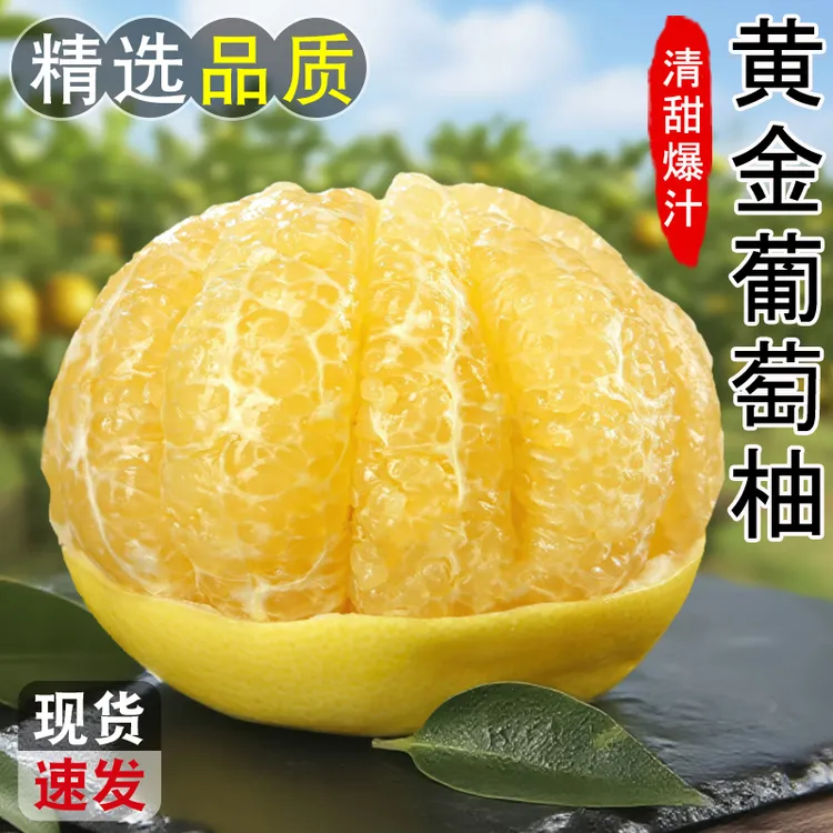福建黄金葡萄柚新鲜水果当季整箱4.5-5斤/8.5-9斤爆汁榨汁柚子