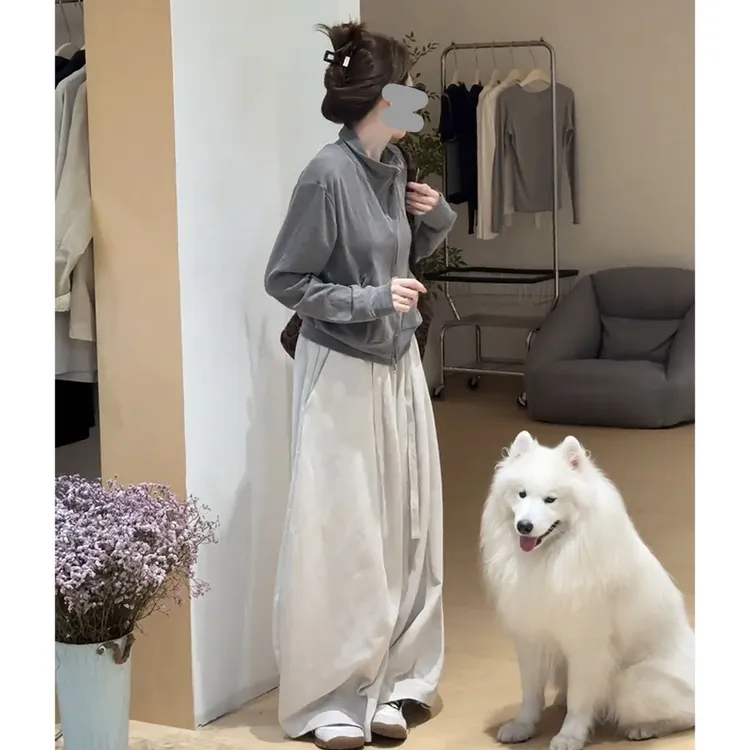 小众炸街高级感套装女2025春秋新款立领卫衣外套休闲阔腿裤两件套
