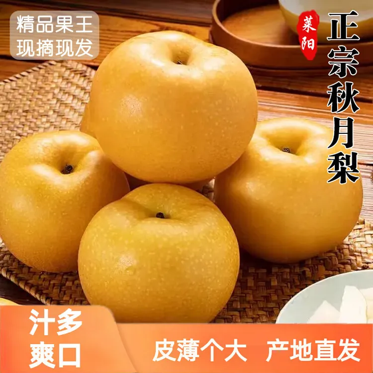 正宗山东莱阳秋月梨新鲜应季水果脆甜多汁皮薄细腻现摘现发莱阳梨