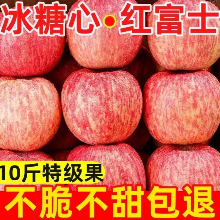 头茬红富士苹果新鲜现摘当季应季脆甜多汁水果