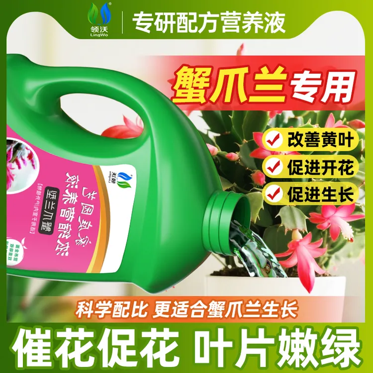 【买一送一】领沃蟹爪兰专用营养液水培植物通用型四季开花营养液肥