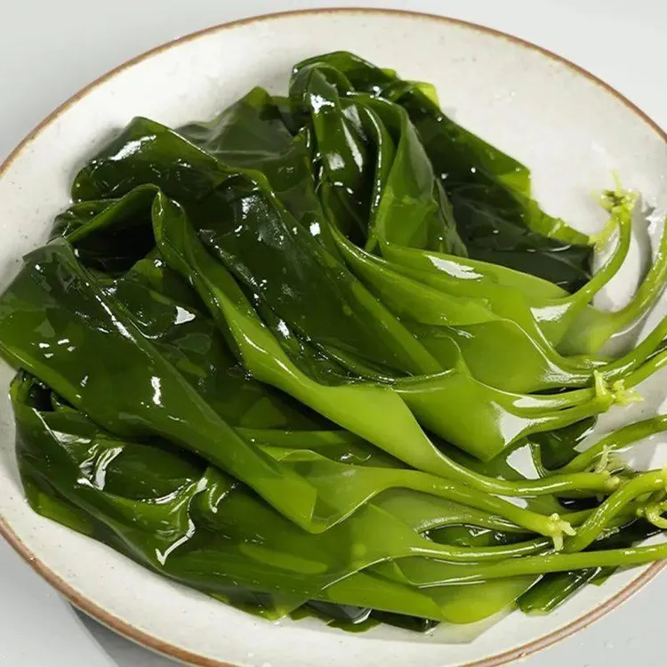 （小章推荐）盐渍整颗头茬海带苗小海带火锅凉拌菜煮汤鲜嫩脆爽