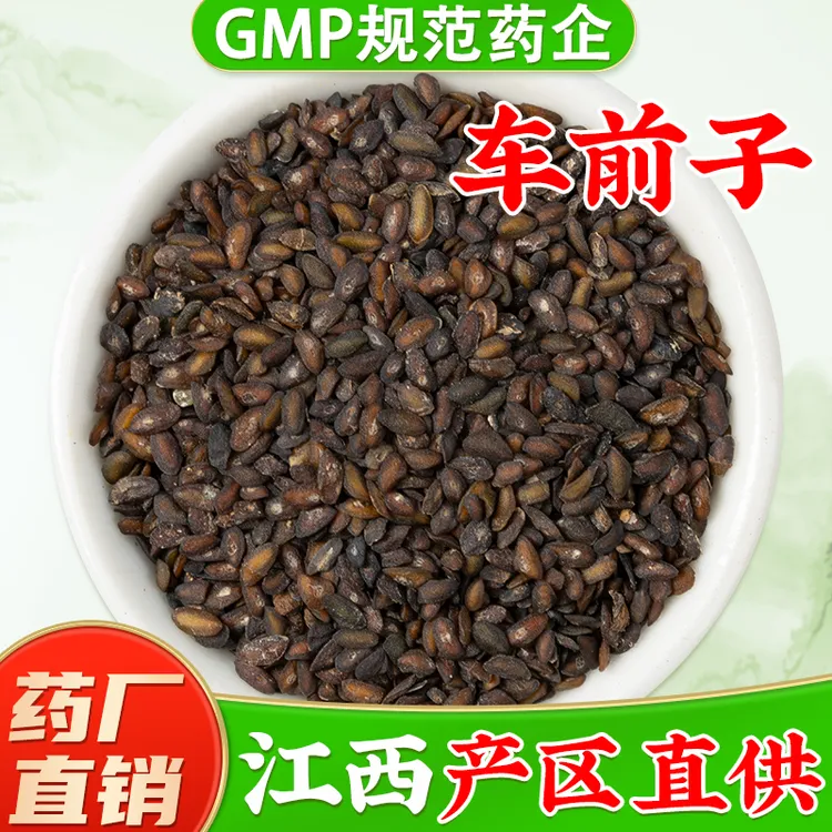 野生车前子中药材正品旗舰店 车前子籽车前子茶车前子泡水喝