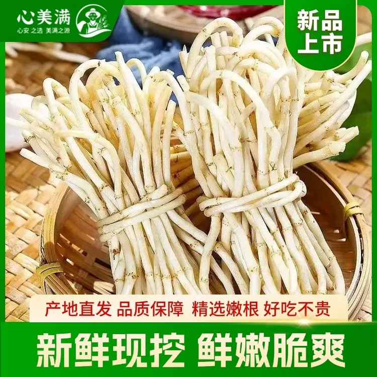 折耳根新鲜洗净发货鱼腥草先采先发包邮冰袋保温湖北特产凉拌
