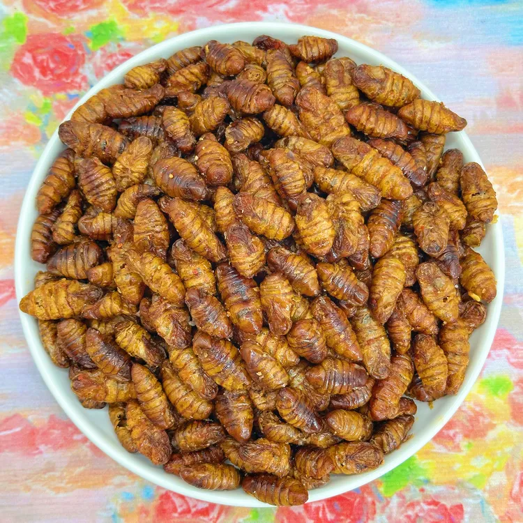 香酥蚕蛹优质农村土特产即食营养美味好吃麻辣下酒菜酥脆口感