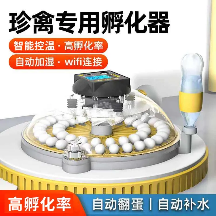 孵蛋器小型家用全自动孵化器智能小飞碟孵化机芦丁鸡鹦鹉鸟蛋专用