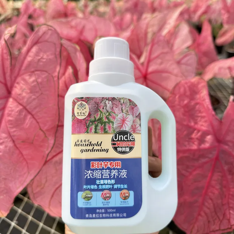 彩叶芋专用增色肥叶促苗壮根肥浓缩营养液二舅的花棚特供版