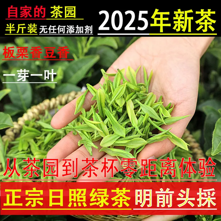 2025年新茶无公害日照绿茶明前特级头採豌豆鲜豆香手工嫩芽早春