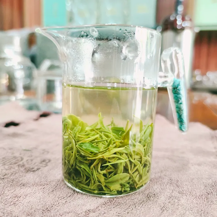 9号2025新茶紫阳茶毛尖群体种翠峰精选鲜嫩好绿茶高香高级新茶叶