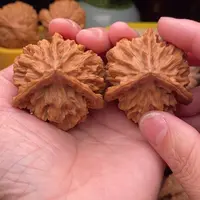 文玩核桃把件正奔47